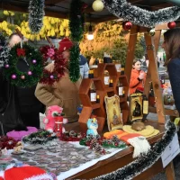 Novogodisnja carolija 2025 (7)