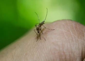 Најава акције сузбијања комараца у општини Ковин 1. јула 2025. године