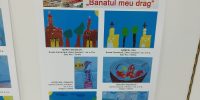 moj dragi banat (40)
