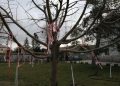 ПРОЛЕЋНИ ПРАЗНИК РУМУНА ОБЕЛЕЖИЛИ И КОВИНСКИ ОСНОВЦИ