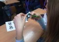 НАТАЛИЈИНА РАМОНДА – СИМБОЛ ПРАЗНИКА 11. НОВЕМБРА